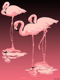 16038339_3_Pink_Flamingos