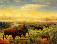 1365581_Buffalo_Fox_Great_Plains_Western_Landscape_Oil_Painting_-_Bison_-_Americana_-_Historic_-_Wal