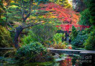 13745426_Kubota_Gardens_In_Autumn