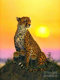 8610129_Cheetah_And_Cubs