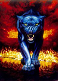 8610079_Fire_Panther