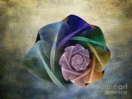 9654710_Abstract_Rose