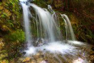 921217_Forest_Falls