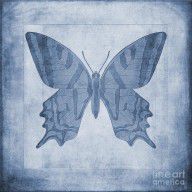 11533953_Butterfly_Textures_Cyanotype