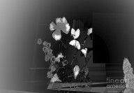 2414476_Fantasies_In_Black_And_White_Abstract