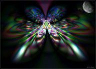 2533385_Night_Butterfly_Abstract