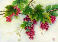 2999236_Grapes