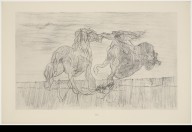 ZYMd-94257-L'étalon et la finacée du vent (Stallion and Bride of the Wind) from Histoire Naturel