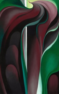 Jack-in-Pulpit Abstraction - No. 5-ZYGR70180