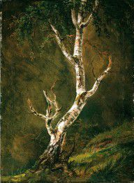 Johan_Christian_Dahl_-_Study_of_a_Birch_Tree