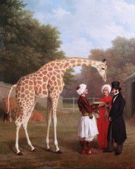 Jacques-Laurent_Agasse-ZYMID_Nubian_Giraffe