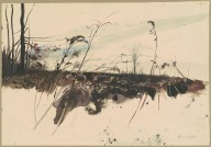 Wyeth Andrew 安德鲁·怀斯