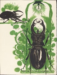 Beetles II (with electric lamp)-ZYGR71766