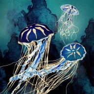 30383741 metallic-jellyfish-iii-spacefrog-designs 6600x6600px