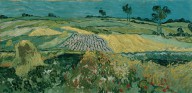 Vincent van Gogh-The Plain of Auvers  1890