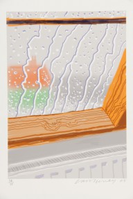 David Hockney-Rain on the Studio Window  2009