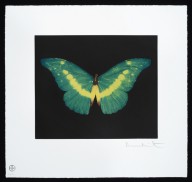 Damien Hirst-Butterfly – Landscape – To Belie  2012