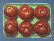 14245719 tomatoes-in-green-tray-jim-zahniser