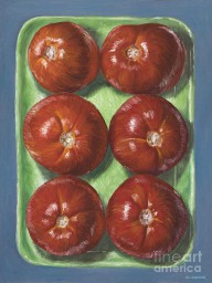14245768 1-tomatoes-in-green-tray-jim-zahniser