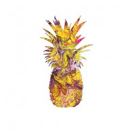 24900645 ges artworkimages medium 2 boho-pineapple-marissa-and-jack