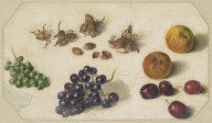 146390------Hazelnuts, Grapes, Apples and Plums_Patrick Syme