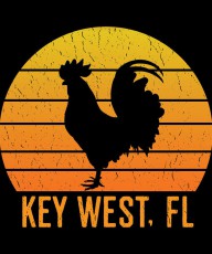 31294556 1-key-west-florida-chicken-michael-s 4500x5400px