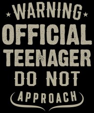 28757267 official-teenager-cute-birthday-party-apparel-michael-s 4500x5400px