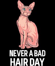 31257337 sphynx-cat-funny-never-a-bad-hair-day-michael-s 4500x5400px
